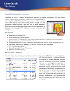 TamoGraph Site Survey Data Sheet