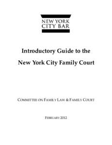 Introductory Guide to the New York City Family Court