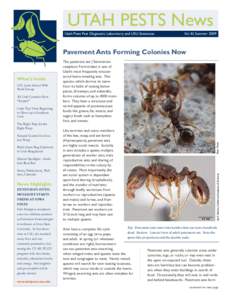 UTAH PESTS News Utah Plant Pest Diagnostic Laboratory and USU Extension Vol. III, SummerPavement Ants Forming Colonies Now