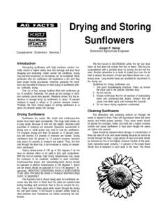 Drying and Storing Sunflowers Cooperative Extension Service Introduction Harvesting sunflowers with high moisture content normally results in higher yields, less bird damage and less head