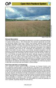 Open Rich Peatland System  Kittson County, MN General Description