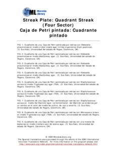 Microsoft Word - streak_plate_spanish.doc