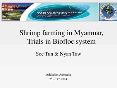 Shrimp farming in Myanmar, Trials in Biofloc system Soe Tun & Nyan Taw Adelaide, Australia 7th – 11th ,2014.