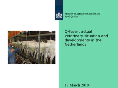 Q-fever: actual veterinary situation and developments in the Netherlands  17 March 2010