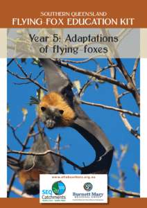 SOUTHERN QUEENSLAND  FLYING-FOX EDUCATION KIT Year 5: Adaptations of flying-foxes