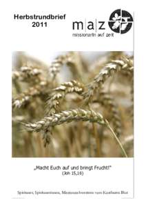 Rundbrief Herbst 11-2.pub