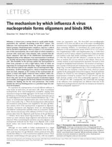 Vol 444 | 21/28 December 2006 | doi:[removed]nature05379  LETTERS The mechanism by which influenza A virus nucleoprotein forms oligomers and binds RNA Qiaozhen Ye1, Robert M. Krug2 & Yizhi Jane Tao1