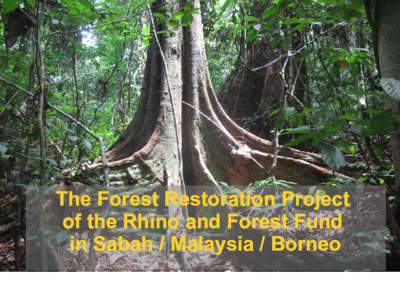 The Forest Restoration Project of the Rhino and Forest Fund in Sabah / Malaysia / Borneo The last intact forest landscapes source: http://www.intactforests.org/world.map.html