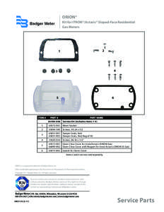 ORION® Kit for ITRON®/Actaris® Sloped-Face Residential Gas Meters 2