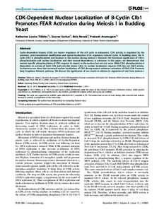 CDK-Dependent Nuclear Localization of B-Cyclin Clb1 Promotes FEAR Activation during Meiosis I in Budding Yeast Katherine Louise Tibbles1*, Sourav Sarkar1, Bela Novak2, Prakash Arumugam1* 1 University of Warwick, Coventry