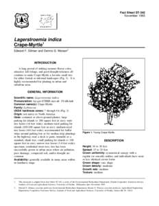 Fact Sheet ST-342 November 1993 Lagerstroemia indica Crape-Myrtle1 Edward F. Gilman and Dennis G. Watson2