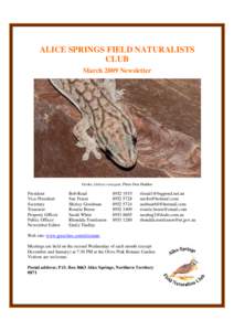 West MacDonnell National Park / Geography of Australia / Tiktaalik / On the Origin of Species / Fish / Larapinta Trail / Alice Springs