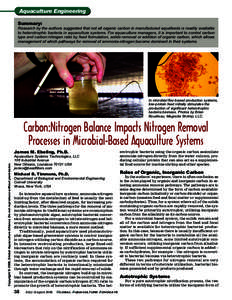 Carbon:Nitrogen Balance Impacts Nitrogen Removal Processes in Microbial-Based Aquaculture Systems