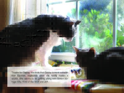 Thanks for Gabby. We think that Gabby is more suitable than Equinox, especially since she hardly makes a sound. She seems to be getting along with Simon our huge kitty. Kind of like Mutt and Jeff.  