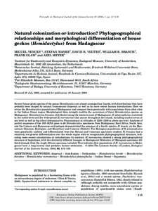 Blackwell Science, LtdOxford, UKBIJBiological Journal of the Linnean Society0024-4066The Linnean Society of London, 2004? [removed]Original Article M. VENCES ET AL