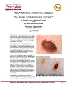 Hexapoda / Cimicomorpha / Bed bug / Bed bug control techniques / Hemiptera / Software bug