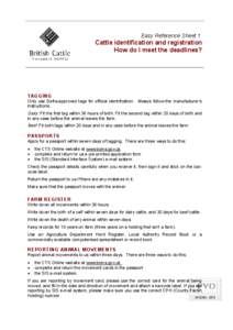 Easy Reference Sheet 1  Cattle identification and registration How do I meet the deadlines?  TAGGING