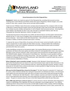 Oyster Restoration in the Little Choptank River Background: Oysters are a keystone species for the Chesapeake Bay, providing vital ecosystem services including water column filtration and habitat creation that support St