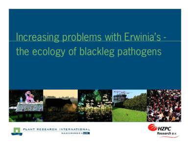 Increasing problems with Erwinia’s the ecology of blackleg pathogens  Outline  