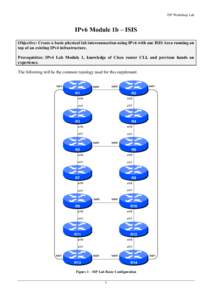 ISP Workshop Lab  IPv6 Module 1b – ISIS Objective: Create a basic physical lab interconnection using IPv6 with one ISIS Area running on top of an existing IPv4 infrastructure. Prerequisites: IPv4 Lab Module 1, knowledg