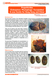 38  香港昆蟲報 Hong Kong Entomological Bulletin  Propalticidae (Coleoptera: Phytophaga: Cucujoidea)