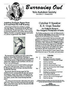 Yolo Audubon Society Vol. 43 No. 2  •  October 2013 Audubon Passenger Pigeon Print Is Grand Prize For Fall Drawing A framed print of John James Audubon’s painting