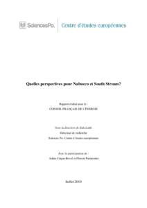 Rapport Nabucco South Stream