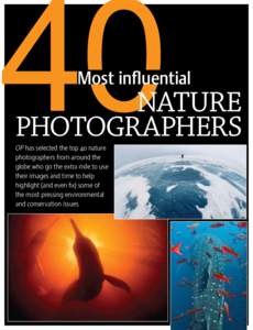 Cristina Mittermeier / Jim Brandenburg / Art Wolfe / Paul Nicklen / Frans Lanting / James Balog / Conservation photography / National Wildlife Federation / WILD Foundation / Photography / Conservation / Florian Schulz