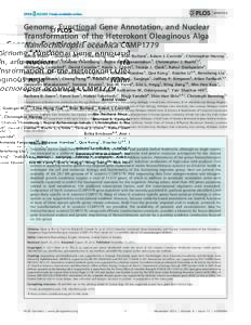 Genome, Functional Gene Annotation, and Nuclear Transformation of the Heterokont Oleaginous Alga Nannochloropsis oceanica CCMP1779 Astrid Vieler1., Guangxi Wu2., Chia-Hong Tsai3,4, Blair Bullard1, Adam J. Cornish1, Chris