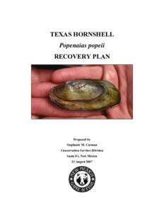 TEXAS HORNSHELL Popenaias popeii RECOVERY PLAN Prepared by Stephanie M. Carman