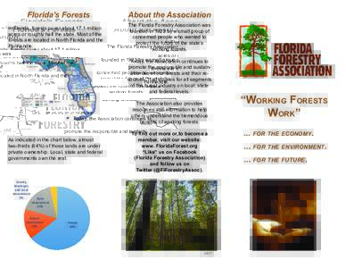 Florida’s Forests In Florida, forests cover about 17.1 million acres or roughly half the state. Most of the forests are located in North Florida and the Panhandle.