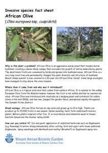 Invasive species fact sheet