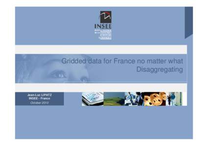 Gridded data for France no matter what Disaggregating Jean-Luc LIPATZ INSEE - France October 2010