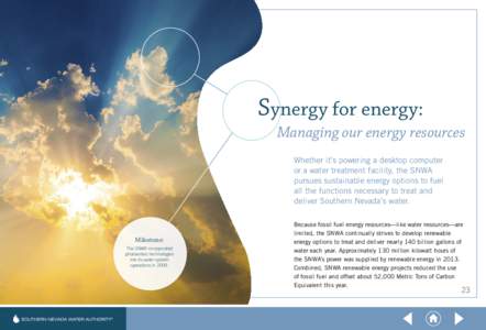 Southern Nevada Water Authority 2013 Annual Report - Energy Resources