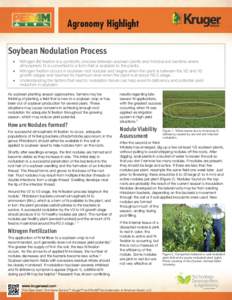 Soybean Nodulation Process  Nitrogen (N) fixation is a symbiotic process between soybean plants and rhizobia soil bacteria where atmospheric N is converted to a form that is available to the plants.  Nitrogen