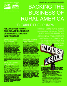 U.S. Department of Agriculture  FLEXIBLE FUEL PUMPS AND THE STATION OWNER BACKING THE BUSINESS OF