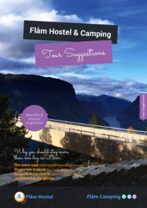 Flåm Hostel & Campin  g Beautiful & Majestic