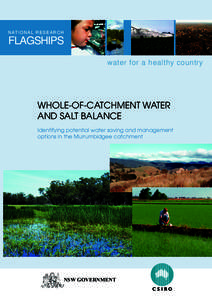 Whole-of-catchment Water and Salt Balance