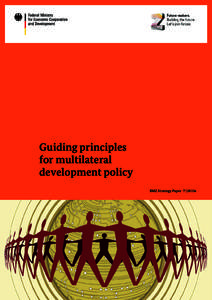 Guiding principles for multilateral development policy BMZ Strategy Paper 7 | 2013e  Dirk Niebel, MdB