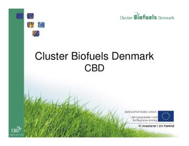 Cluster Biofuels Denmark CBD Who are we? • CBD is a 2 year EU funded project under the Kalundborg Municipality