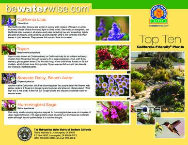 CA Native Top 10 Plants Brchr-FINAL_mc[removed]ALTS