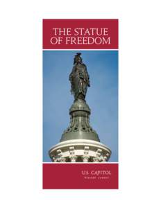 The STATUe of FreedoM The STATUe of FreedoM  T