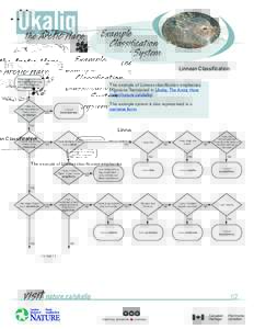 Example Classiﬁcation System Linnean Classification What kingdom does the organism belong