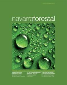 NÚM. 24 I DICIEMBRE 2009 I 4€  navarraforestal FORESNA ZURGAIA. REVISTA DE LA ASOCIACIÓN FORESTAL DE NAVARRA. NAFARROAKO BASO ELKARTEA