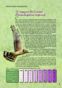 OISEAUX RARES EN BOURGOGNE  11e rapport du Comité d’homologation régional  C