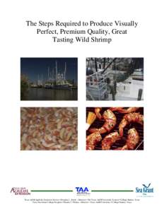 The Steps Required to Produce Visually Perfect, Premium Quality, Great Tasting Wild Shrimp Texas A&M AgriLife Extension Service • Douglas L. Steele – Director • The Texas A&M University System • College Station, 