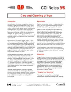 CCI Notes 9/6 Care and Cleaning of Iron Introduction Examination