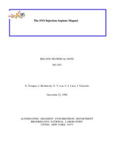 The SNS Injection Septum Magnet  BNL/SNS TECHNICAL NOTE NON. Tsoupas, J. Brodowski, Y. Y. Lee, C. J. Liaw, J. Tuozzolo