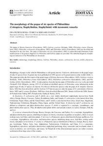 The morphology of the pupae of six species of Philonthina (Coleoptera, Staphylinidae, Staphylinini) with taxonomic remarks