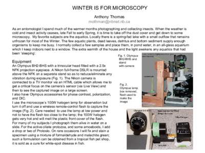 WINTER IS FOR MICROSCOPY Anthony Thomas  As an entomologist I spend much of the warmer months photographing and collecting insects. When the weather is cold and insect activity ceases, late Fall to ear